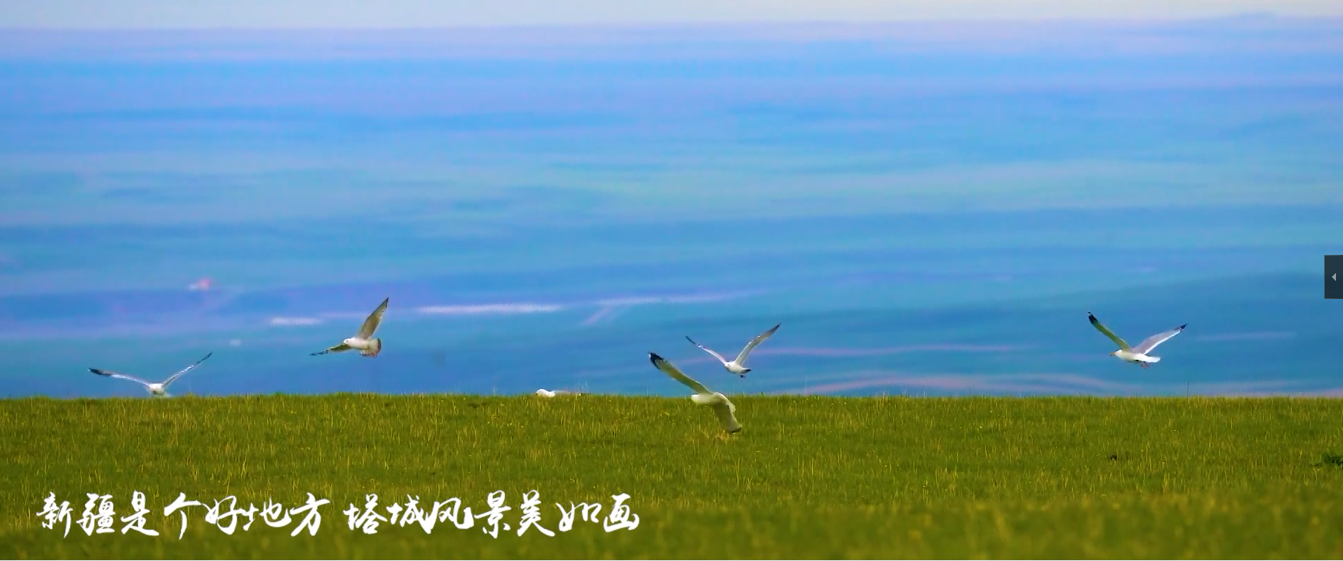 &#20061;&#28216;&#23448;&#26041;&#32593;&#39029;&#29256;&#45;&#20061;&#28216;&#40;&#20013;&#22269;&#41;